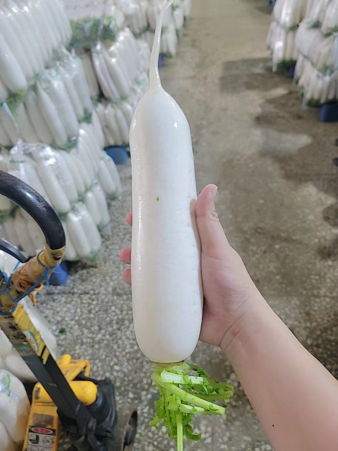 微信图片_20230711170223.jpg